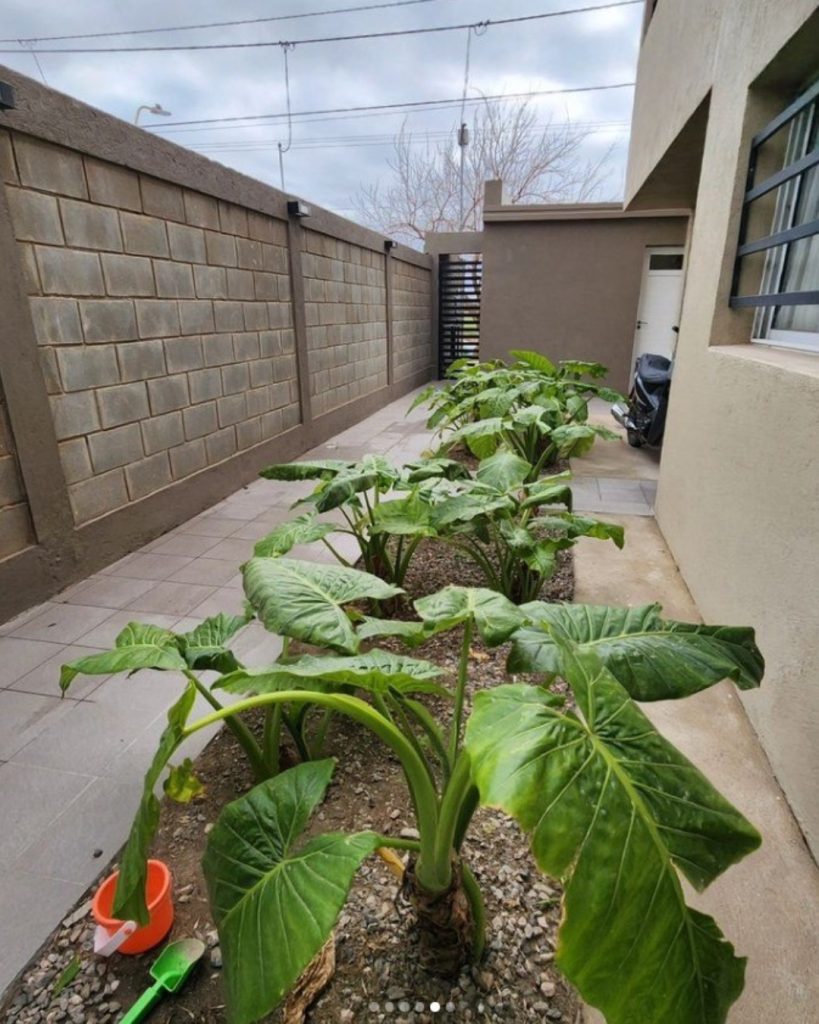 ¡Oportunidad! ¡Se venden 3 dptos en la zona de la Utn!